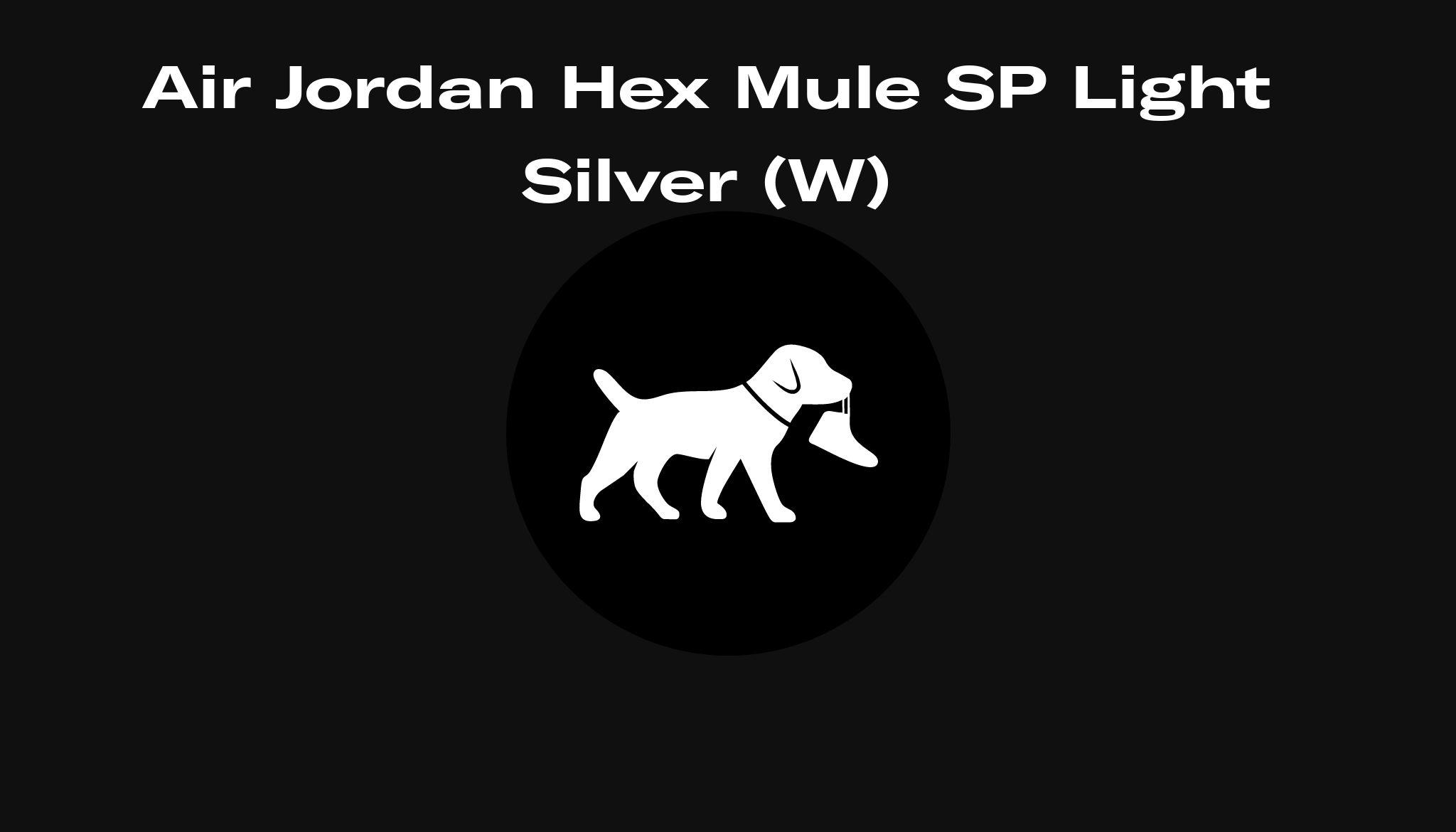 ☆希少品☆Air Jordan Hex Light SP Mule Silver サンダル